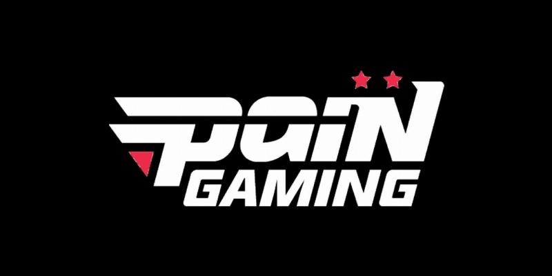 paiN gaming logo