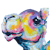Candy Camel