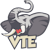 VTE