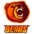 Bears