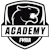 FURIA Academy