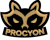 Procyon