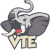 VTE