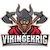 Vikingekrig