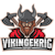 Vikingekrig
