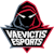 Vaevictis