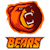 Bears