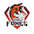 The Foxes